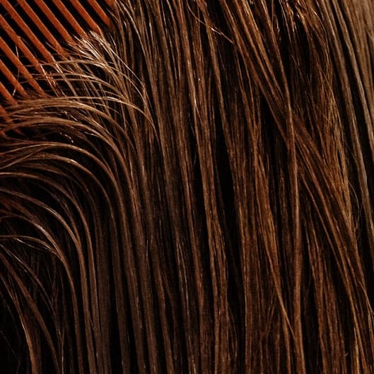 Blowout Membership at The Golden Strand (Inside Image Studios) in Cedar Park, TX